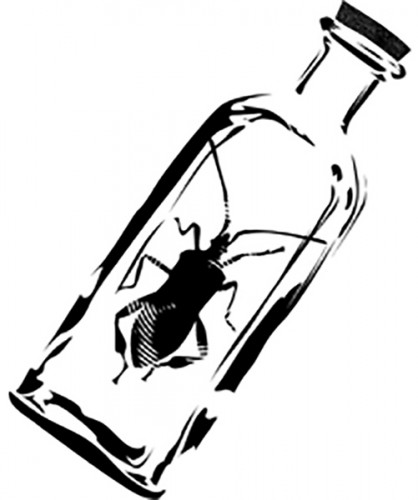 Spin the Beetle